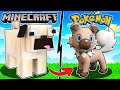 CANE di MINECRAFT CONTRO CANE della PIXELMON - SQUADRA CAGNOLINO