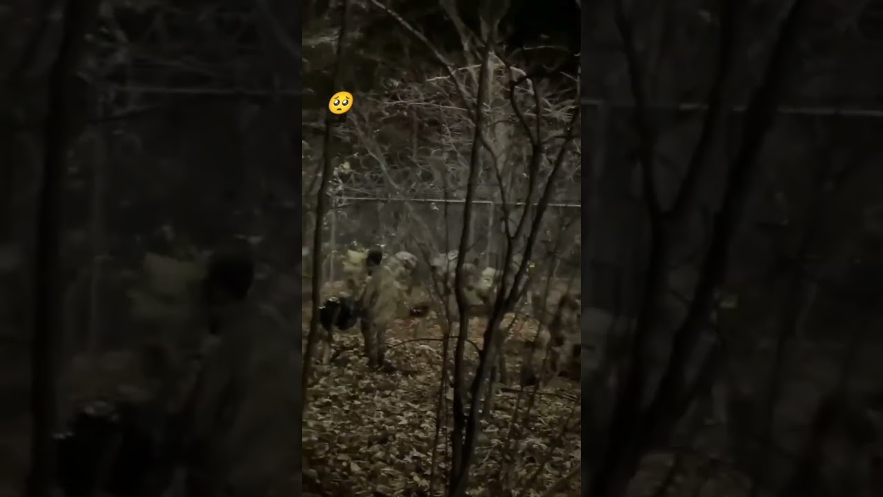 Pakistan army sad short__pak army video Pakistan