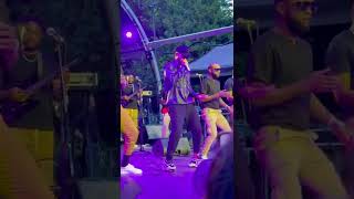 Fally Ipupa - Concert Show