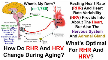 35% Increase For Heart Rate Variability Since 2018