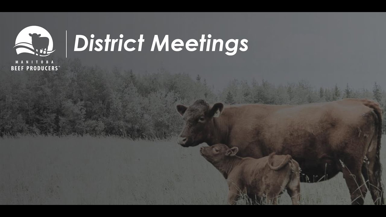 Manitoba Beef Producers Fall 2021 District Meetings