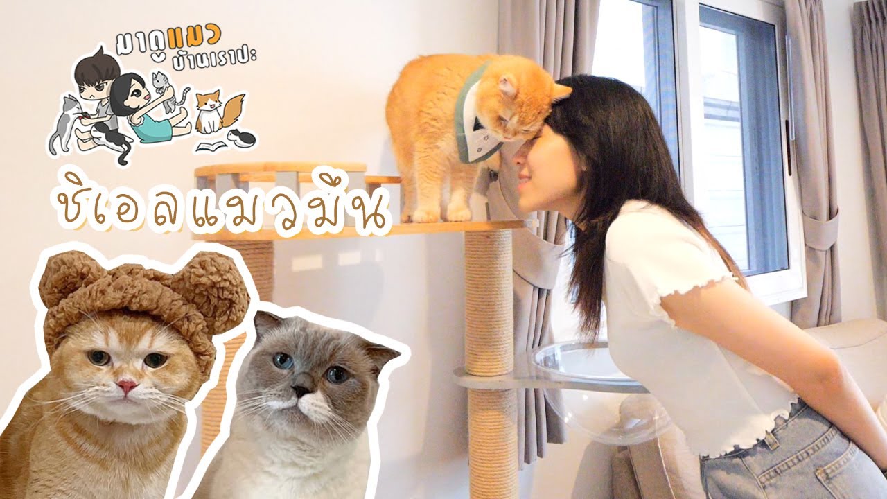 Latest Title & Thumbnail