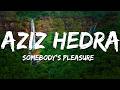 Aziz Hedra - Somebody's Pleasure [Sped Up] (Lyrics)
