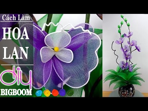 Video Hướng dẫn cách tự làm Hoa Lan (tím) bằng vải voan, cực... - youtube