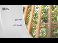 المندلاوي بلبل ديالى النادر بـ10 ألحان يطلبه الكويتيون بالجملة