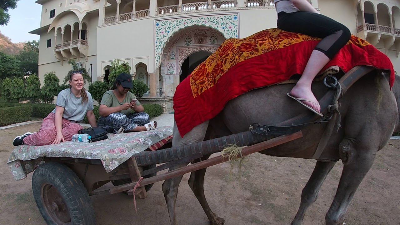 Camel Ride Safari at Dunes Rajasthan - YouTube