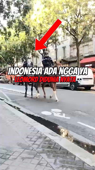 Bayangkan!!! Satu Kuda Polisi Bisa Ganti 10 Petugas‼️