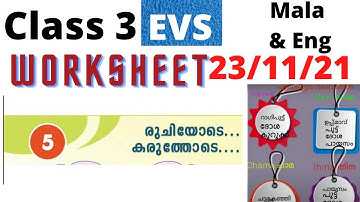class 3 EVS worksheet 23/11/21| kite victers 3rd std  EVS worksheet