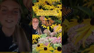 Blackeyedsusan To Cut Or To Keep gardeningtips gardentips gardenscapes gardenplants