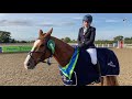 Petplan Equine Summer Area Festival Prelim Bronze Champion - Justina Cook