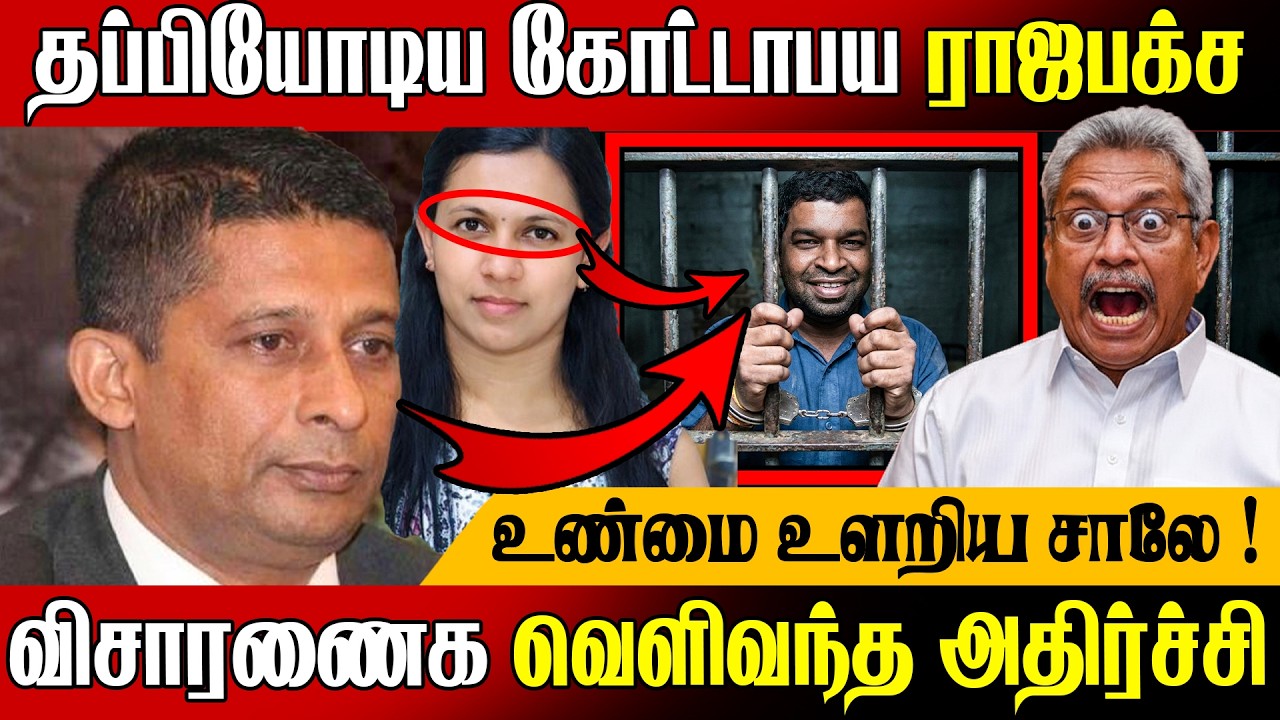 🚨நாட்டை விட்டு வெளியேறிய கோட்டாபய ராஜபக்ச !😇 உண்மைகளை உளறிய சாலே | Today News In Sri Lanka