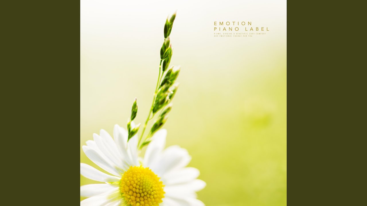 Like a flower scent YouTube