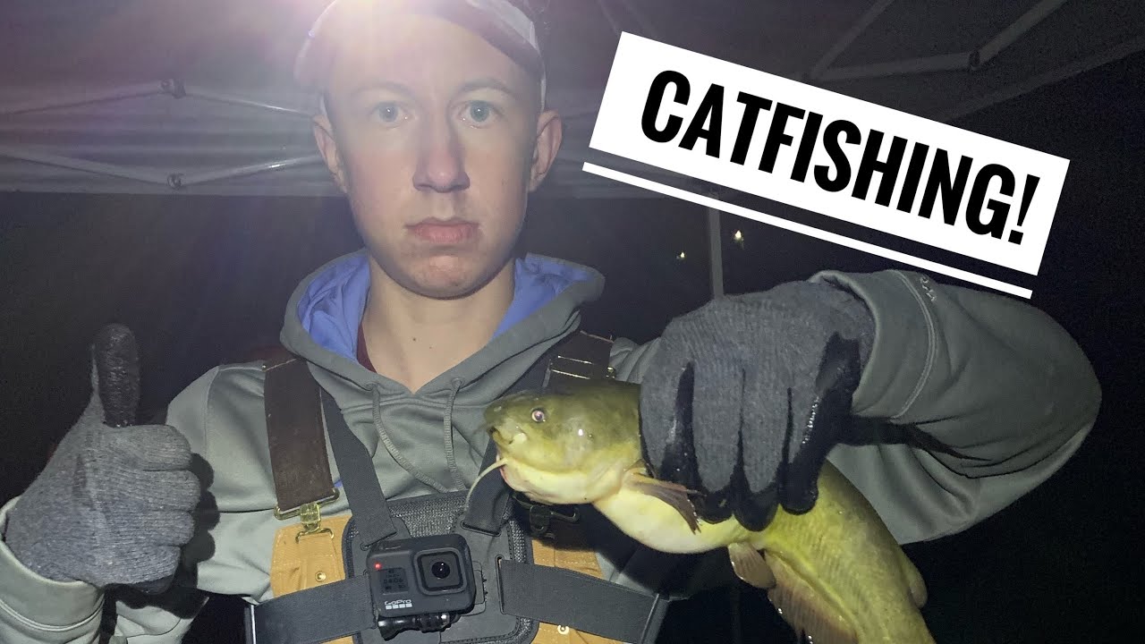 Late Night Cat-Fishing 