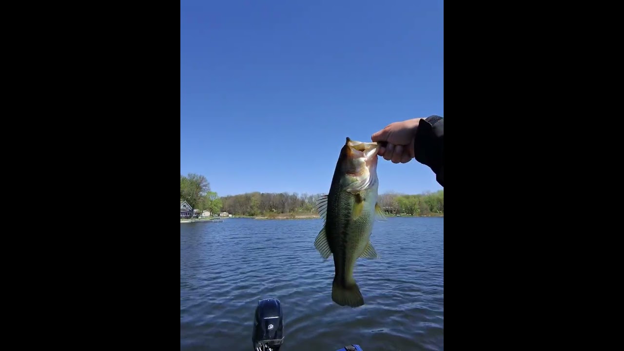 Bass fishing with the Ray-bans.
