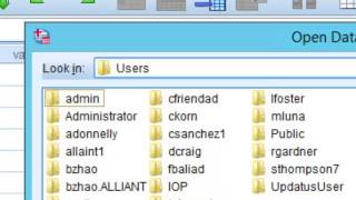 Spss Online Instructions