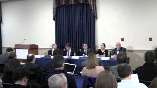 Online Privacy after the DOC and FTC Reports