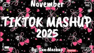 Tiktok Mashup November 💖2025💖 (Not Clean)