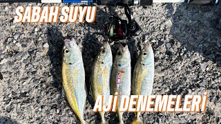 Hafi̇f Takimlarla İstavri̇t Avi