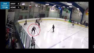 Hockey Assist by Joe Aiello