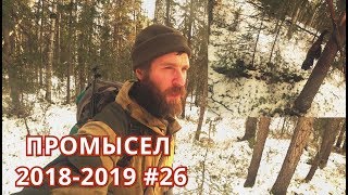 ОТКРЫВАЮ ОХОТУ НА СОБОЛЯ. ДОБЫВАЮ ДИЧЬ. ПОШЛА ЖАРА. #26 ОТКРЫВАЮ ОХОТУ НА СОБОЛЯ. ДОБЫВАЮ ДИЧЬ. ПОШЛА ЖАРА. #26