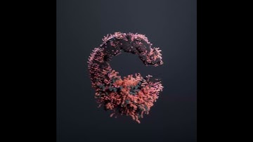 TACTYC Studio - Constant Growth #4