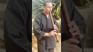 Shakuhachi: Japanese Folk | Rodrigo Rodríguez