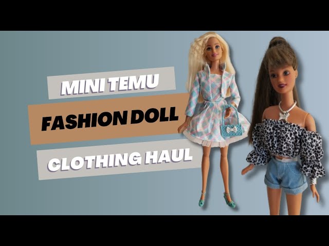 My Latest Endeavor: Barbie Clothes Organzing. : r/Barbie