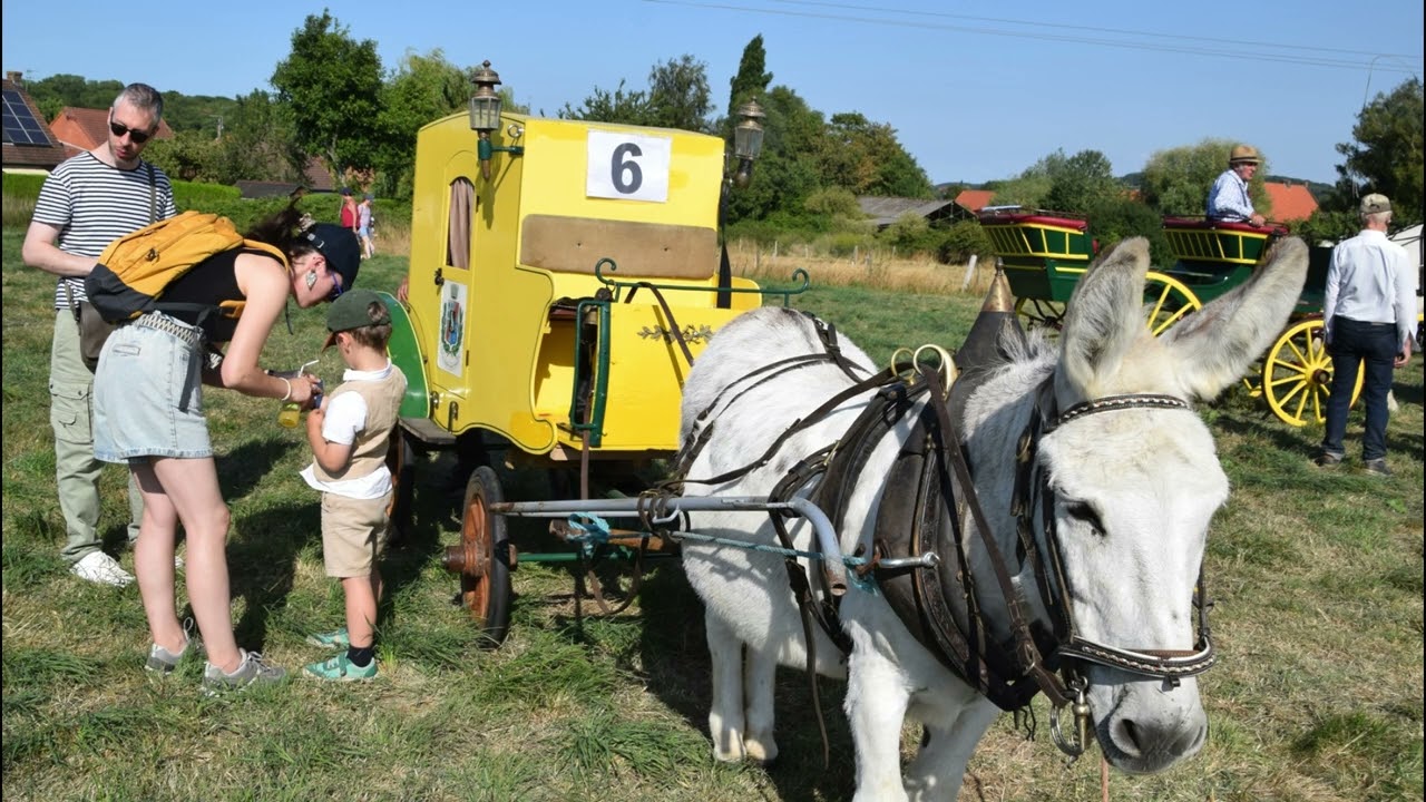 Diaporama  15 aout 2025 Berthen