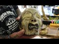 Real Human Head at Mountain Oddities Knoxville, TN