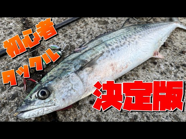 ショアジギング】ロッドとリールはこれを買え！最初に何を買ったらよい 