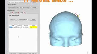 Automatic vs. Manual (SimNIBS simulation)