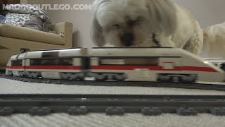 LEGO City Passenger Train 7897 Crashes.