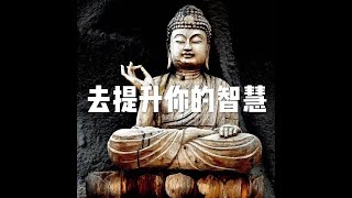 201502 去提升你的智慧21373