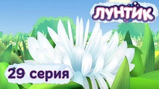 Мульт Лунтик и его друзья 29 серия Цветок