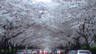 메렝노 부루우스0001.Wmv