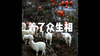 201801 着了众生相23048
