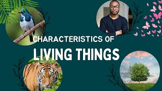 What Makes Something Alive? Discover The Characteristics Of Living Things With Mrs Nerg