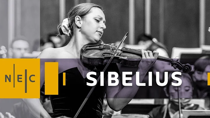 Sibelius: Violin Concerto in D minor - 1st Movemen...