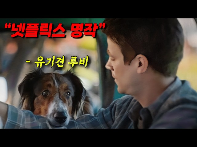 ❤️⟨감동 실화⟩❤️ 영화 평점 9.09를 받은? 가슴이 따뜻해지는 영화✅✅✅ (영화리뷰/결말포함)
