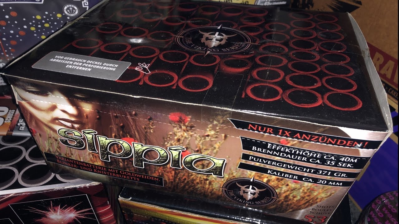 *Goodbye PyroArt* Sippia 53 Schuss Batterie