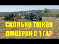 Сколько тюков люцерки с 1 га?