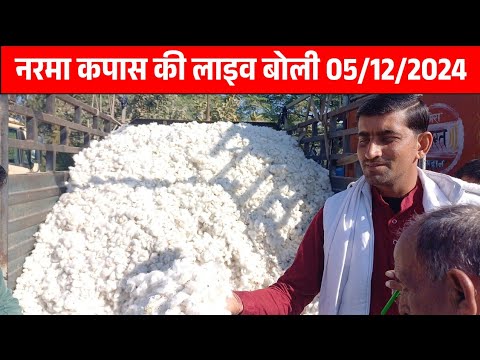 नरमा कपास की लाइव बोली 05/12/2024 | Narma kapas ki live boli