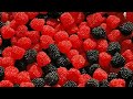 تفسير حلم التوت في المنام لابن سيرين