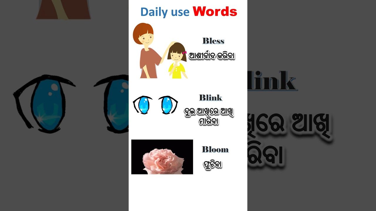 Daily use Words 3 | Vocabulary in odia | 