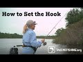 How to set the hook  how to fish