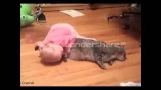 What'sapp Funny Video 2016   Funny Videos 2014   Funny Cats Video   Funny Cat Videos Ever   Funny An