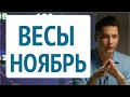 ВЕСЫ ноябрь гороскоп. Финансы для движения в новые возможности. Душевный гороскоп Павел Чудинов