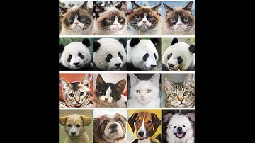 Data Augmentation using Multiple Images (Part 2 of 3)