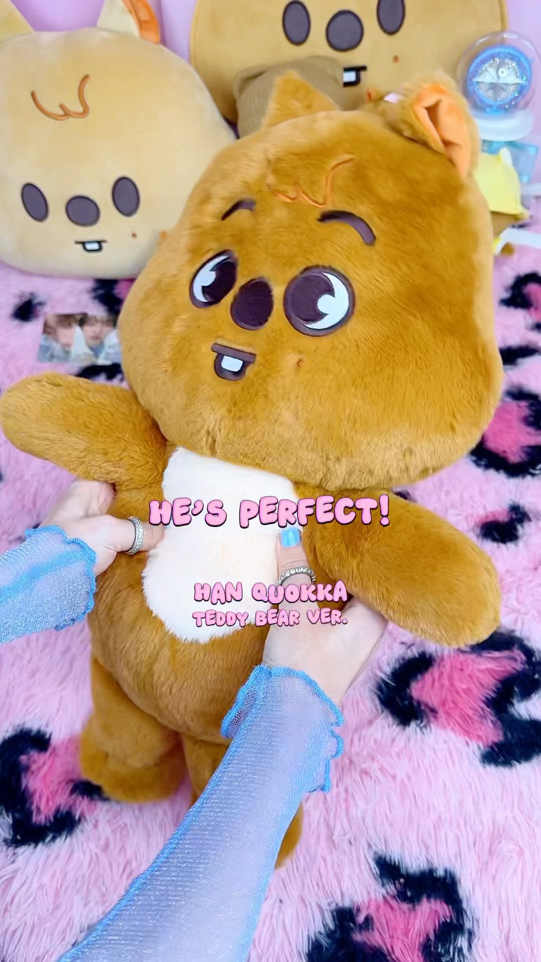 my SKZOO Han Quokka teddybear ver plushie arrived