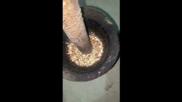 Hoa Đu Đủ Nộm - Dân tộc Thái